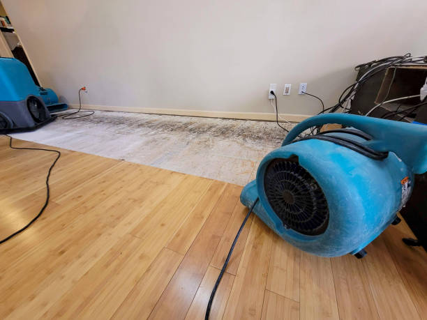 Professional Water Damage Repair technician working in Bethlehem, GA